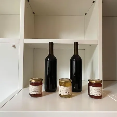 Apartment Puccini